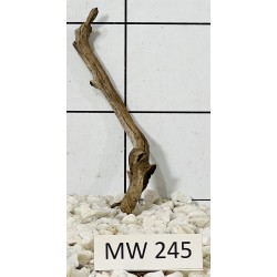 Mangrovewood 245