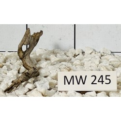 Mangrovewood 245