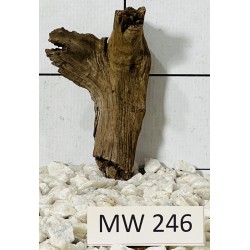 Mangrovewood 246