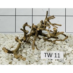 Talawa wood 11