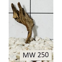 Mangrovewood 250