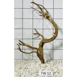 Talawa wood 12