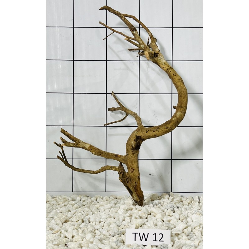 Talawa wood 12