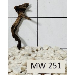 Mangrovewood 251
