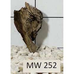 Mangrovewood 252