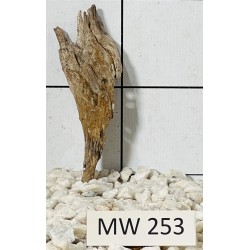 Mangrovewood 253