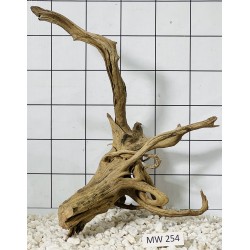 Mangrovewood 254