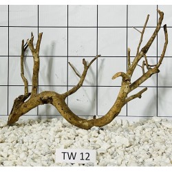 Talawa wood 12