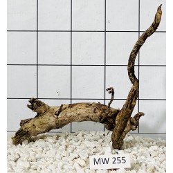Mangrovewood 255