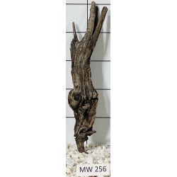 Mangrovewood 256