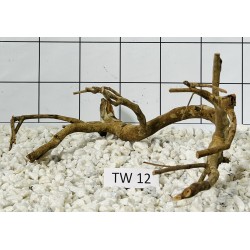 Talawa wood 12