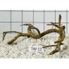Talawa wood 12