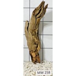 Mangrovewood 258