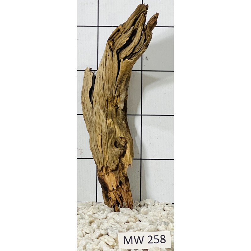 Mangrovewood 258