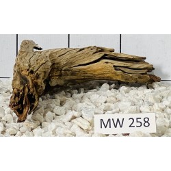 Mangrovewood 258