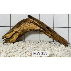 Mangrovewood 258