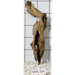 Mangrovewood 259