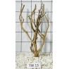 Talawa wood 13