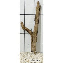 Mangrovewood 262