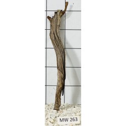 Mangrovewood 263