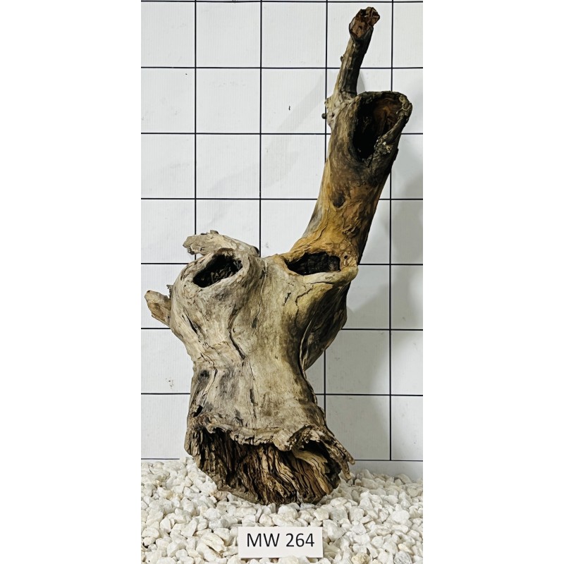 Mangrovewood 264