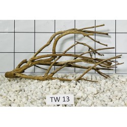 Talawa wood 13