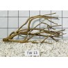 Talawa wood 13
