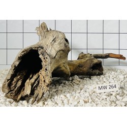 Mangrovewood 264