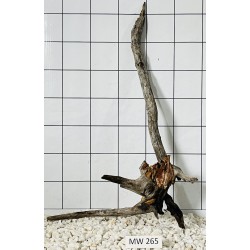 Mangrovewood 265
