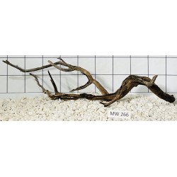 Mangrovewood 266