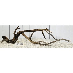 Mangrovewood 266