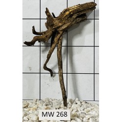 Mangrovewood 268
