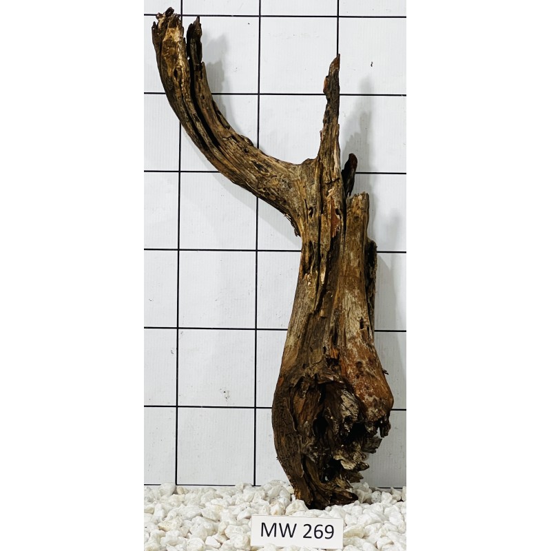 Mangrovewood 269