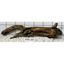 Mangrovewood 269