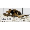 Mangrovewood 270