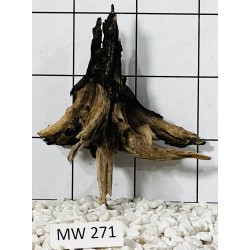 Mangrovewood 271
