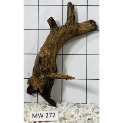Mangrovewood 272
