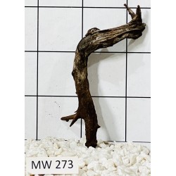 Mangrovewood 273