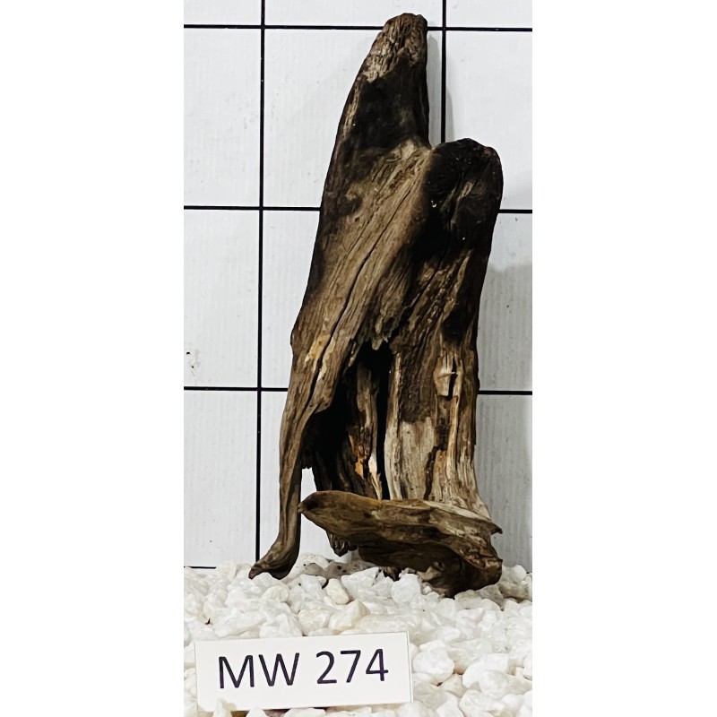 Mangrovewood 274