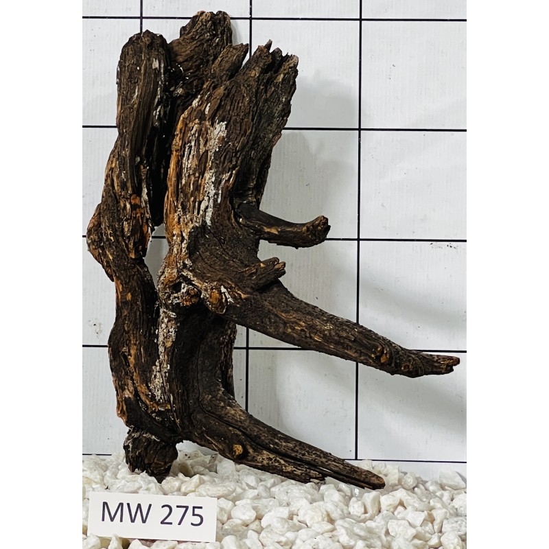 Mangrovewood 275