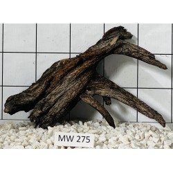 Mangrovewood 275