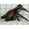 Mangrovewood 275