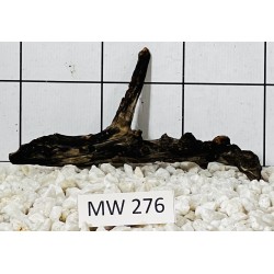 Mangrovewood 276