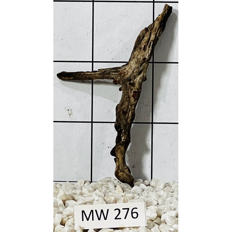 Mangrovewood 276