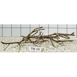 Talawa wood 14