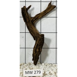 Mangrovewood 279