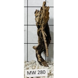 Mangrovewood 280