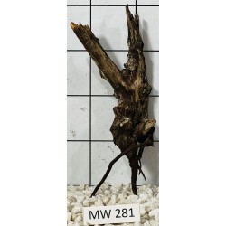 Mangrovewood 281