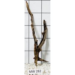 Mangrovewood 282