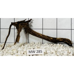 Mangrovewood 285
